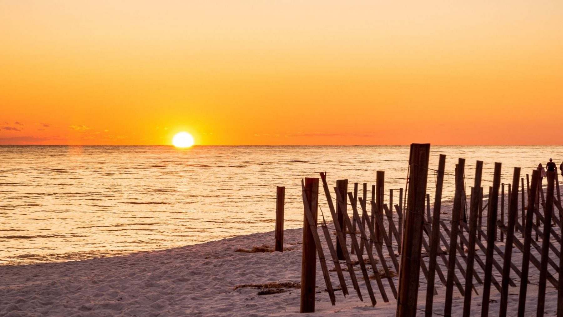 The Top 5 Things to Do in 30A Find 30A Family Activities