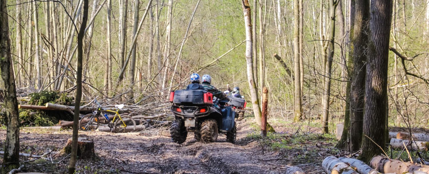 A Sand Rover in a forest