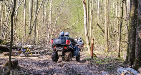 A Sand Rover in a forest