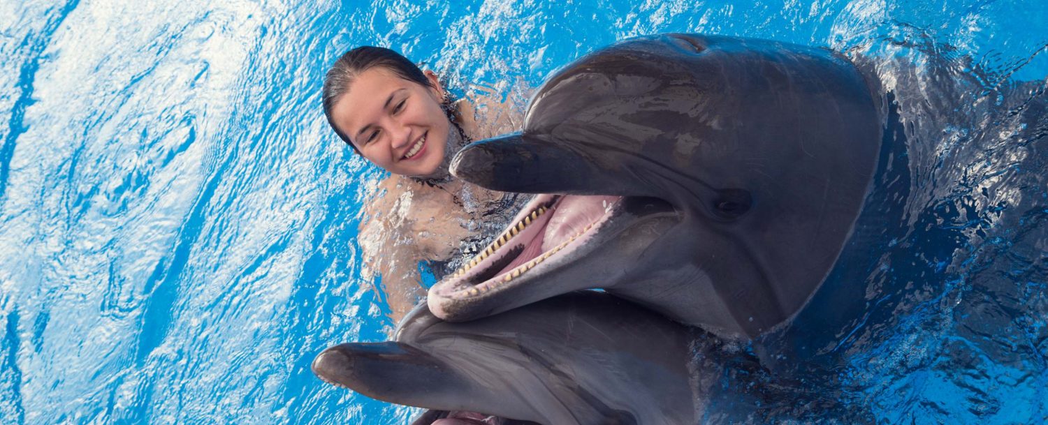 Woman swimming with dolphin who is smiling in the water