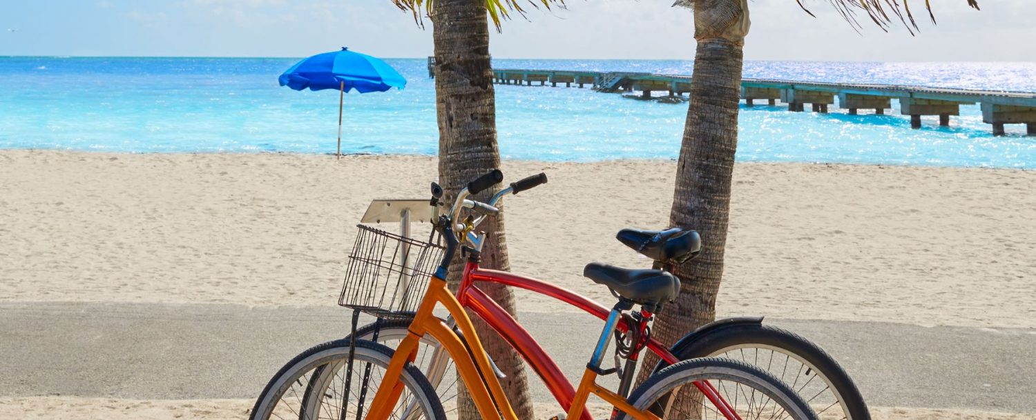 Bikes under a palm tree at a Florida beach
