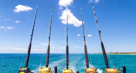 fishing rods set up on boat in Florida
